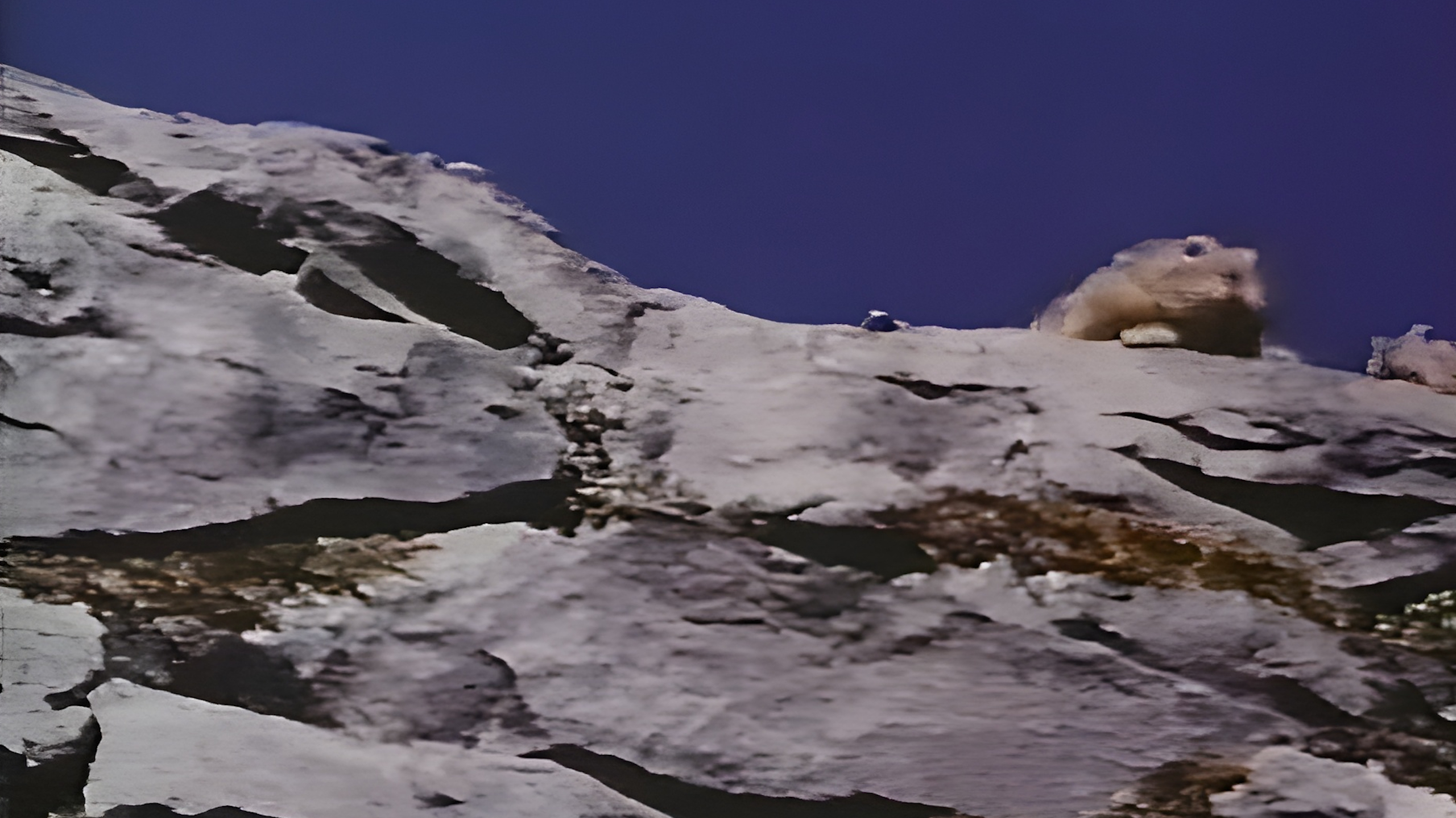 Lemming Drop documentary (excerpt)